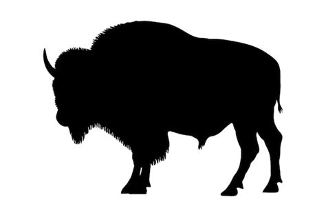 Premium Vector Bison Buffalo Silhouette Vector Illustration