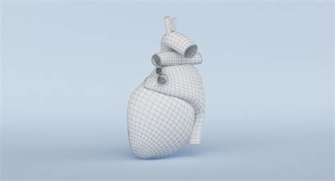 Heart Anatomy 3D Model $69 - .ma .3ds .dae .dxf .fbx .max .obj - Free3D