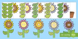 Blooming Birthdays Flower Display Pack Arabic Translation