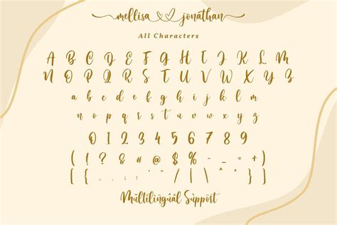 Mellisa Jonathan Script And Split Monogram Font So Fontsy