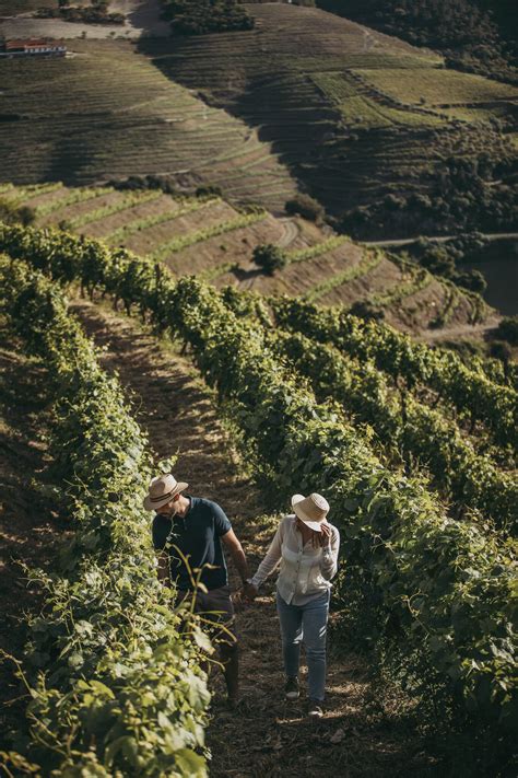 Quinta Nova De Nossa Senhora Do Carmo En Covas Do Douro Reserve Su Visita