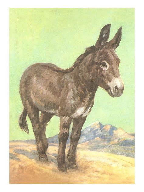 Donkey Print Wall Art - Walmart.com - Walmart.com