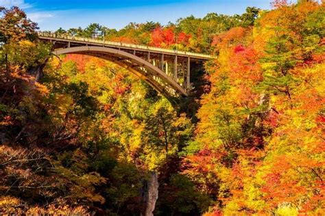 定番から穴場まで！宮城県のおすすめ観光スポット30選 Tripa トリパ ｜旅のプロがお届けする旅行に役立つ情報