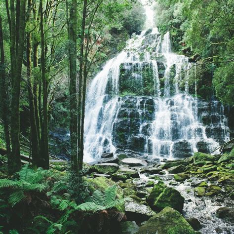 Franklin Gordon Wild Rivers National Park Australia We Tour Australia