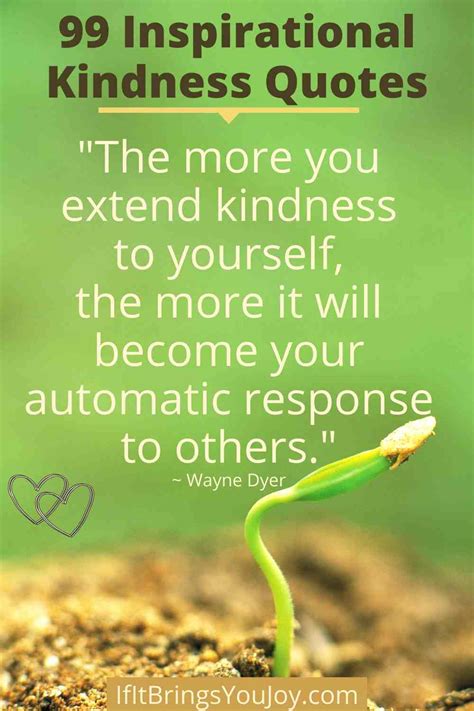 Extend Kindness Quotes Ellen Burgan Coaching