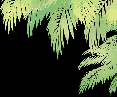 Download Tropical Palm Leaves Vector Background