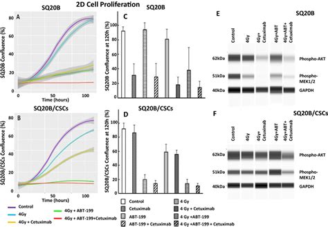 Proliferation Of Sq B Cells And Sq B Cscs Under Different Treatment