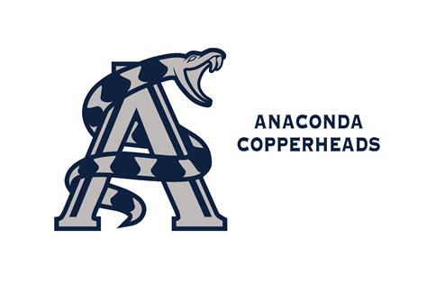 Home | Anaconda School District #10