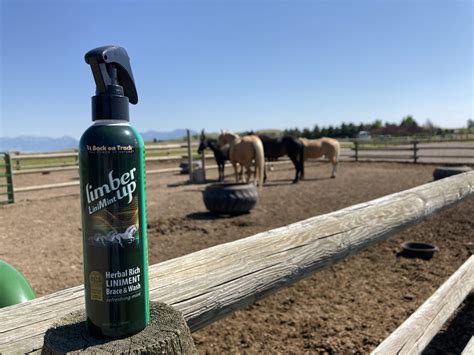 When, Why, and How to Use Liniment on Horses - Horse Rookie