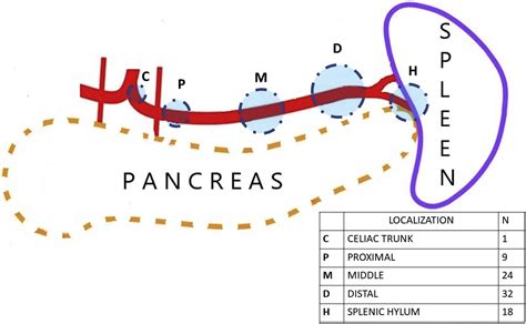 Laparoscopic And Robotic Surgery For Splenic Artery Aneurysm A Systematic Review Annals Of