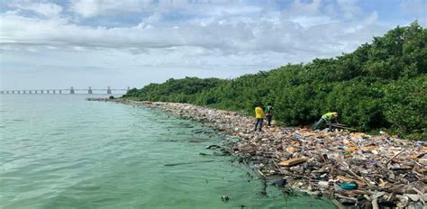 Toneladas De Desechos Recolect Alcald A De Maracaibo En Las Riberas