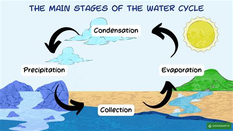 Les étapes du cycle de l'eau : un processus essentiel dans la nature ...