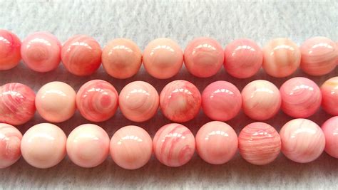 Conch Shell Beads