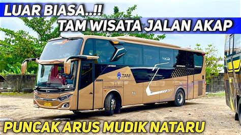 LUAR BIASA UNIT TAM WISATA JALAN AKAP APAKAH UNIT TAMBAHAN UNTUK