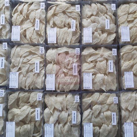 Jual Sarang Walet Patahan Murah 100 Gram Yan Tiao Shopee Indonesia