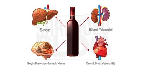 Alkol Zarar Verir Mi Alkol N Mideye Zarar Var M Alkol Uyutur Mu