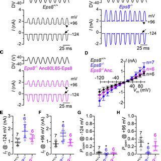 Anc L Eps Rescue Of Mechanoelectrical Transduction In Eps Mice