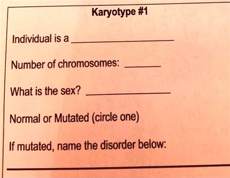 Solved Karyotype Individual Is A Number Of Chromosomes What Is The