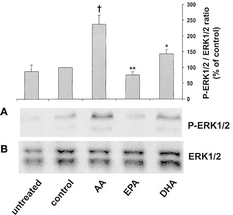 Effect Of Pufa Supplementation On Il Induced Extracellular