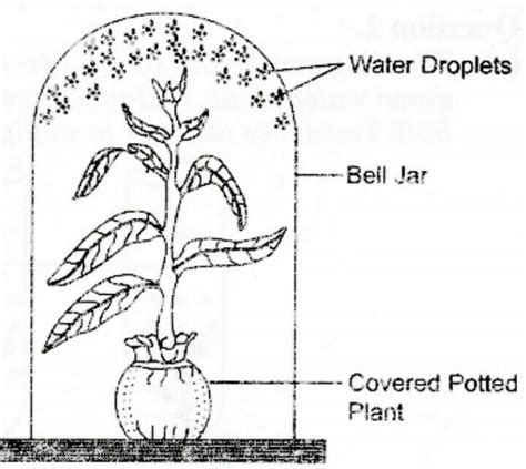 Q 4 The Apparatus Shown Below Was Set Up Stopper White Cloud Glass