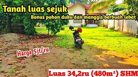 Tanah Luas Bonus Pohon Duku Dan Manggis Berbuah Lebat Dekat Jalan