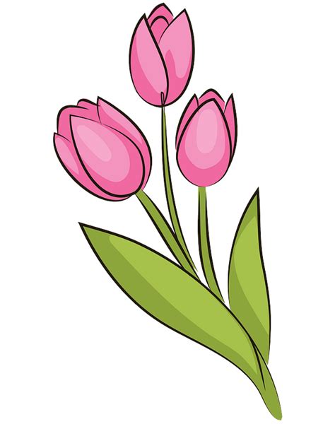 Ramo De Tulipanes Clipart Dibujos Animados Descargar Gratis