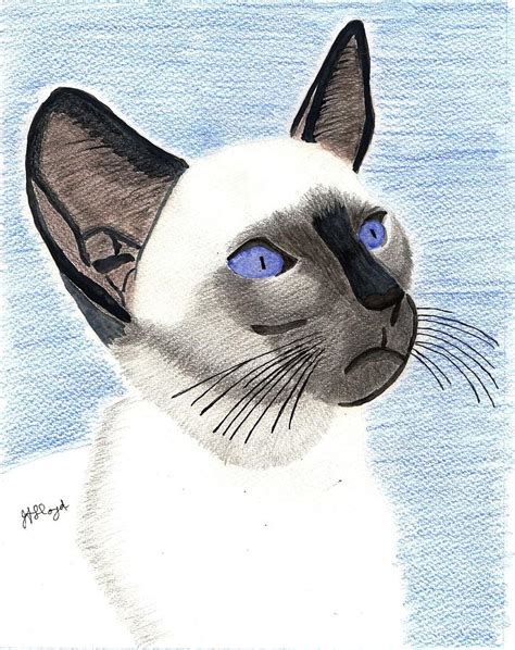 Siamese cat Painting by Joy Lloyd | Fine Art America