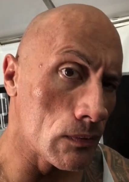 Fan Casting Dwayne Johnson As Eyebrow In The Rock On Mycast