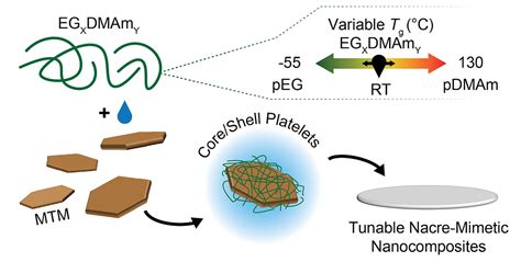 Glass Transition Temperature Regulates Mechanical Performance In Nacre