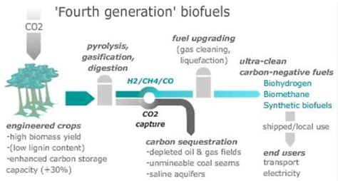 Fourth Generation Biofuels