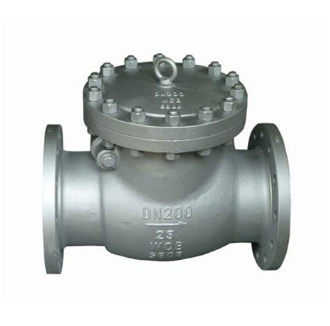 Din Dn Pn Cast Steel Swing Check Valve Oudian Valve