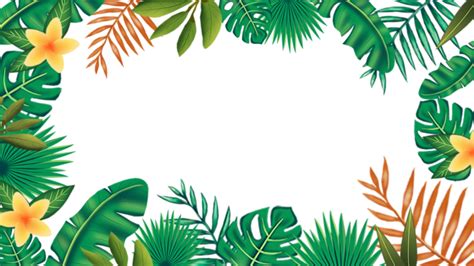 Bordure Dart De Feuilles Tropicales Png Tropical Feuilles T