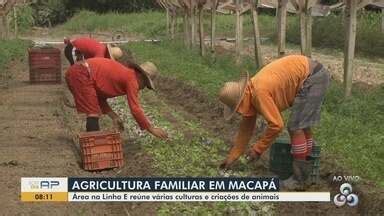 Bom Dia Amazônia AP Área na Linha E reúne várias culturas da