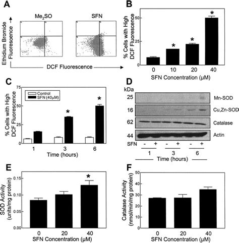 Sfn Treatment Caused Ros Generation In Pc 3 Cells A Flow Histograms Download Scientific