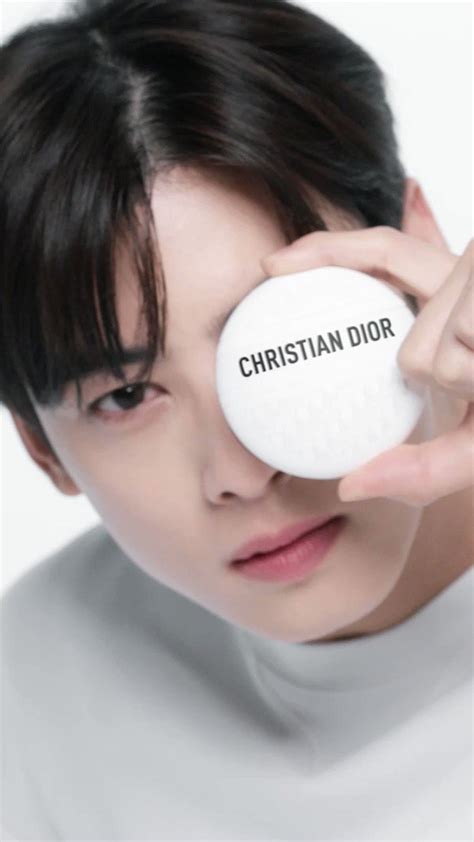 ChaEunwooTH on Twitter PIC Dior Kakao Korea ขอแนะนำ NEW Dior Le