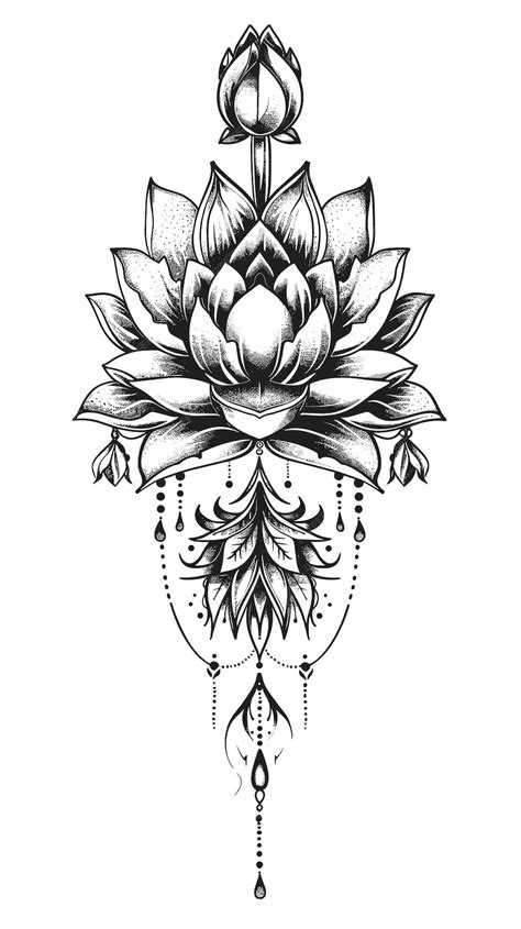 Premium Vector Beautiful Lotus Flower On A White Background Black And White Vector