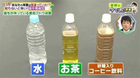 ペットボトル、飲み残した中身によって菌が増えないものと6万倍に増えるものがある！ペットボトルを水筒がわりに使っていると・・・ 100テク