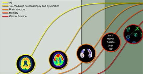 Various biomarkers of Alzheimer's Disease and the stage of disease they... | Download Scientific ...