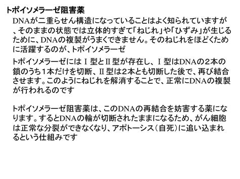 手術治療や放射線治療が、がんに対しての局所的な治療であるのに対し、抗がん剤は、より広い範囲に治療の効果が及ぶことを期待できます。このため、転移