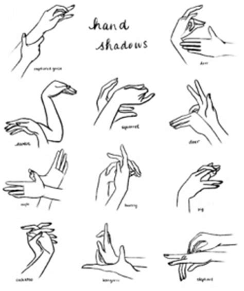 1000+ images about Hand Shadow on Pinterest | Deer, Hand shadow puppets and Crafty kids