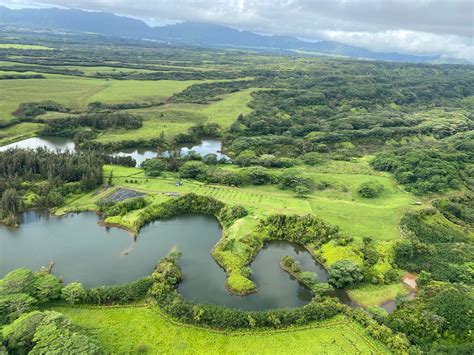 Hawai'i's 'Garden Island' paints a vibrant picture