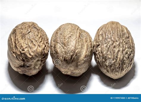 Nutmeg spice stock photo. Image of nutmeg, flavor, isolated - 119997408