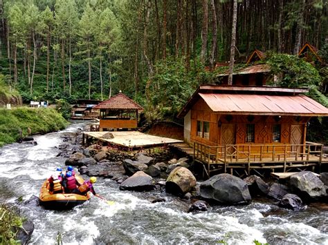 Pineus Tilu Alasan Memilih Camping Di Pineus Tilu