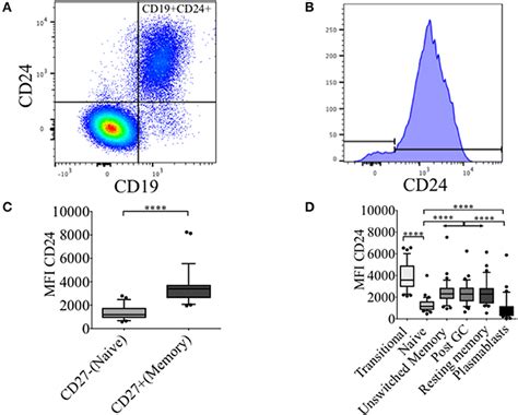 Frontiers Cd24 Expression And B Cell Maturation Shows A Novel Link