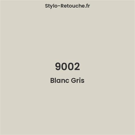 RAL 9002 Blanc Gris Opaque En Stylo Retouche Stylo Retouche Fr