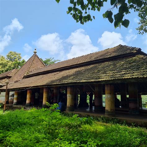 Amboli Of Waterfalls And Wildlife