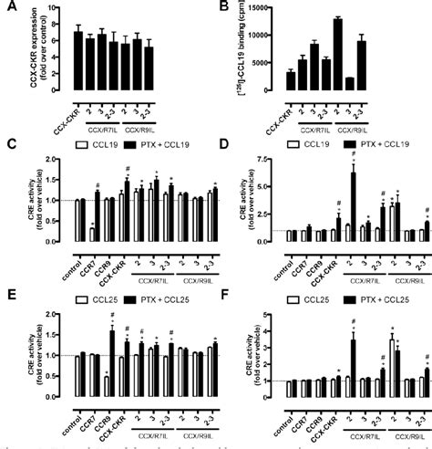 Figure 6 From Vu Research Portal Dimerization And Signaling Of The Chemokine Receptors Cxcr3 And