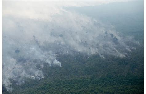 Alertas de desmatamento na Amazônia têm pior outubro da série histórica