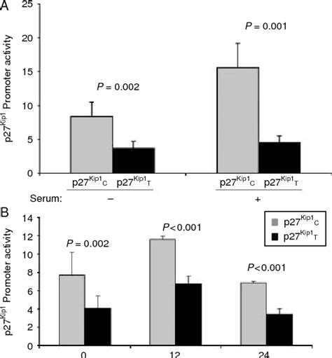 Figure 1 From Allelic Variant At 79 C T In Cdkn1b P27kip1 Confers An Increased Risk Of