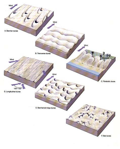 Barchanoid Dune